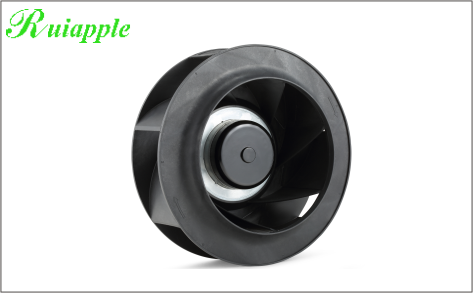 香蕉视频在线下载污污污